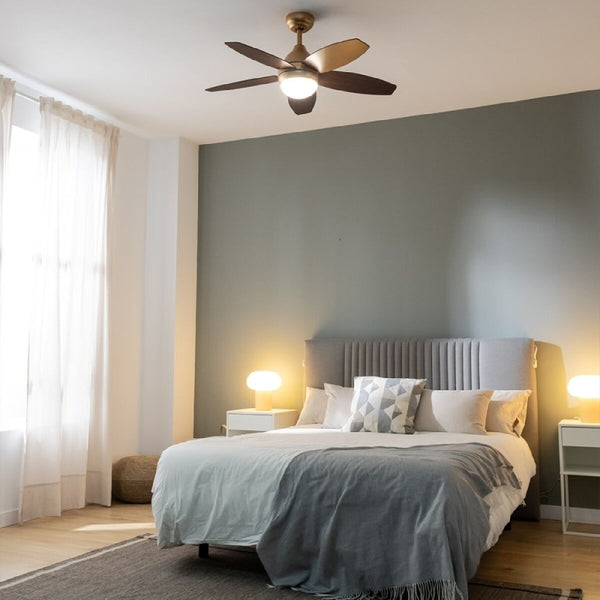 V6HC986CAE89630CAF544134D578DBD6BB5R5321972P3