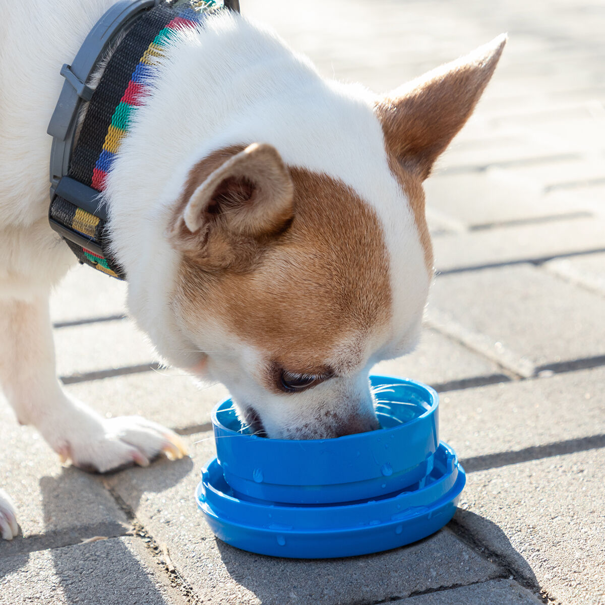 V14H9D32D767FB05583F94653D27D20B1ECCR4145852P7