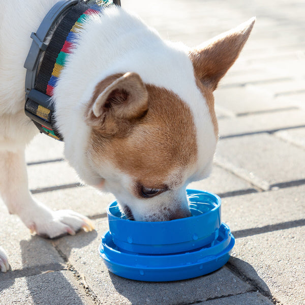 V14H9D32D767FB05583F94653D27D20B1ECCR4145852P7