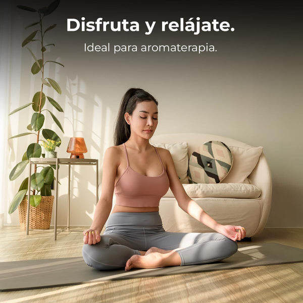 V2HE1BD9B13933A30426ECDD1B7F98E5C42R7648591P5