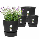 V4H5B256420F4A0D56C805350218F6A46DDR6737390P2