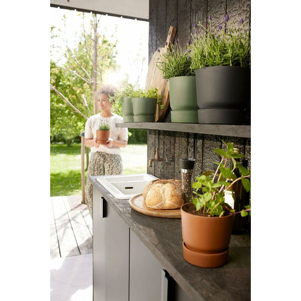 V4H9105E86C400C5064CF8BAE224EE8698BR6737396P7