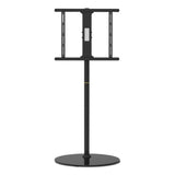 V4H1CBE13DA31666FADD6A6B65142C3609AR5804898P1