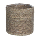 V10H781AD01D67F2AA47AEBA32575496E4A6R3446117P2