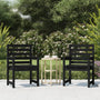 Garden Chairs 2 pcs 60x48x91 cm Black Solid Pine