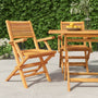 Cadeiras de jardim dobráveis 2 pcs 55x62x90 cm teca maciça
