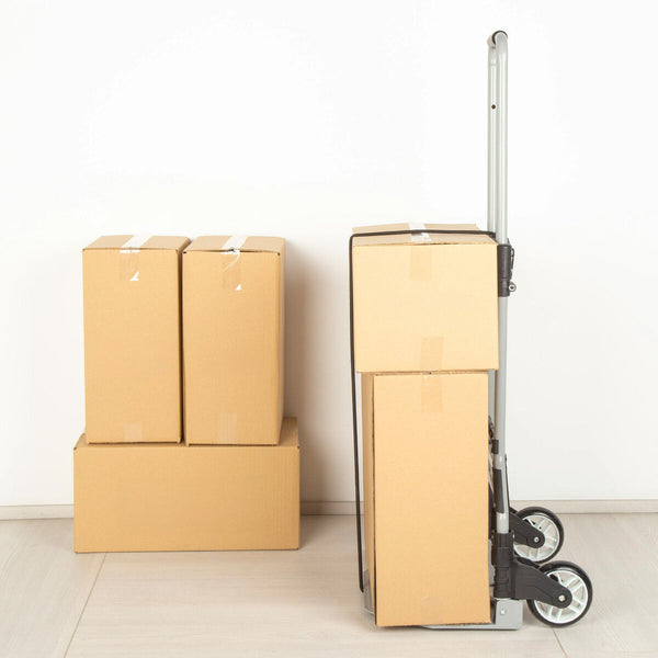 V5HAD1C4A1F3360532AD7DC3955E072BA64R5649183P3